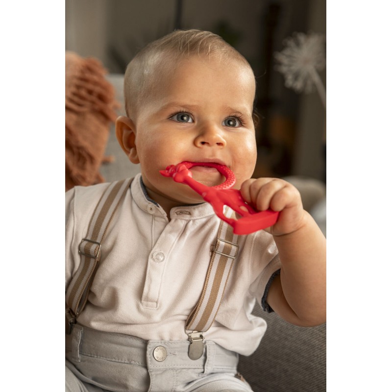 Σόφι καμηλοπάρδαλη Κρίκος οδοντοφυϊας Βανίλια Κόκκινο