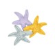 Swim Essentials: Παιχνίδι θαλάσσης/πισίνας - Sea Stars