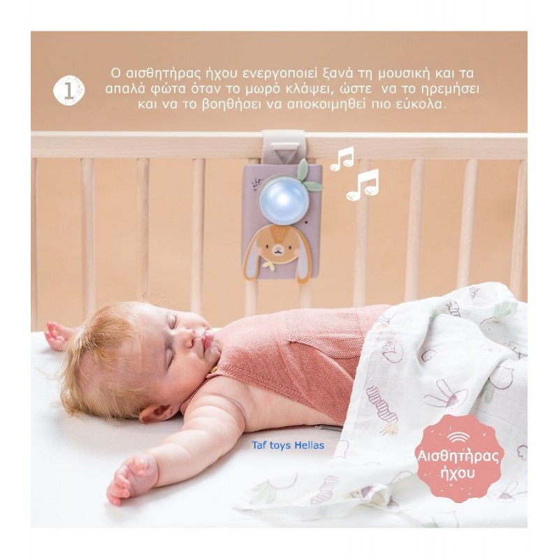 Taf Toys Ζωάκι Bunny Soother & Swaddle Set