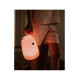 Φωτιστικό Σιλικόνης Bear Lamp Pink 16cm με Τηλεχειριστήριο Rabbit & Friends