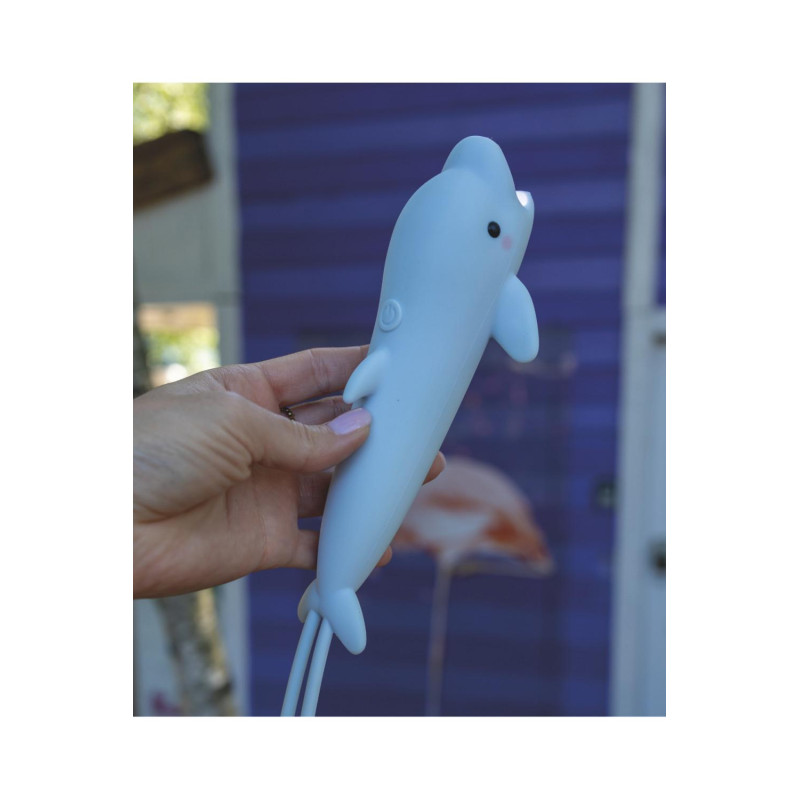 Μικρός Φακός Σιλικόνης Bubbly Dolphin - Rabbit & Friends