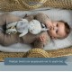 Taf Toys Rylee Μουσικό Παιχνίδι musical Bunny 