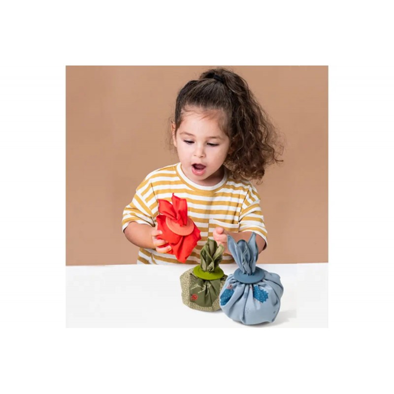 Taf Toys εκπαιδευτικό παιχνίδι Peek-a-boo What's inside