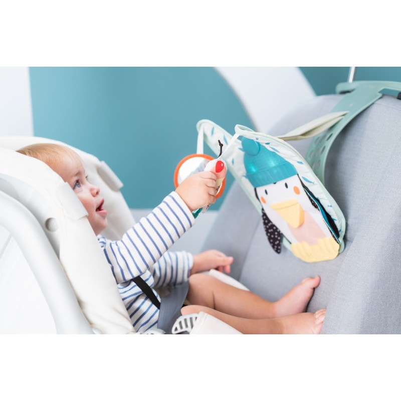 Taf Toys Penguin Play & kick car toy T-12955