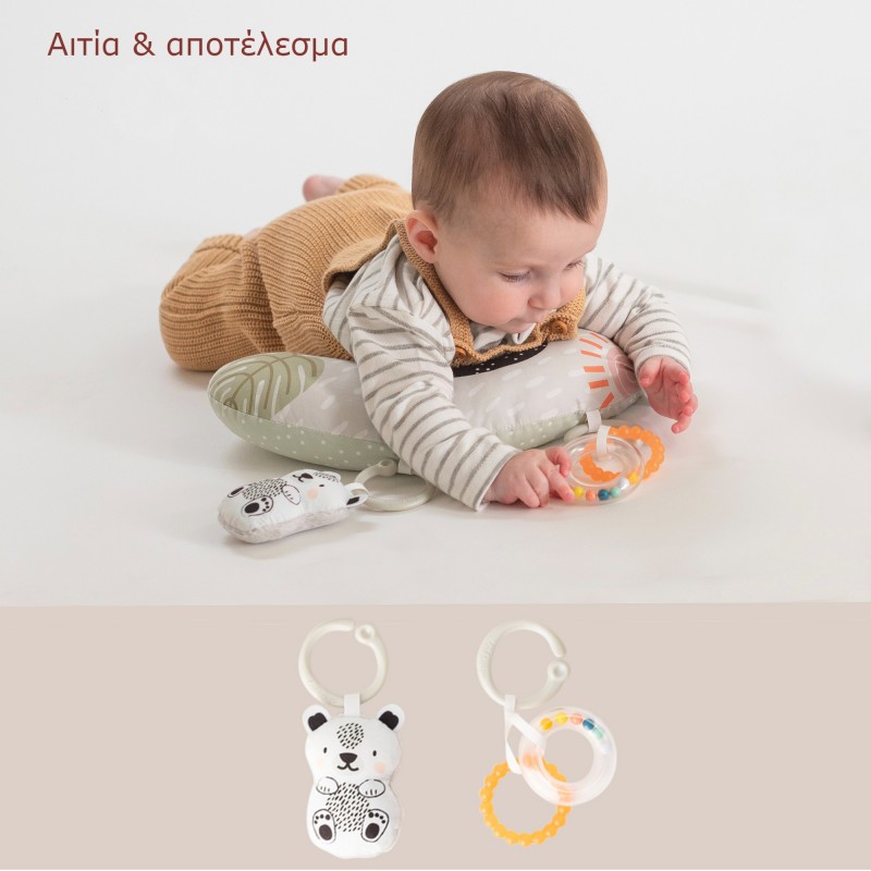 Taf Toys Newborn develop & play kit T-12915