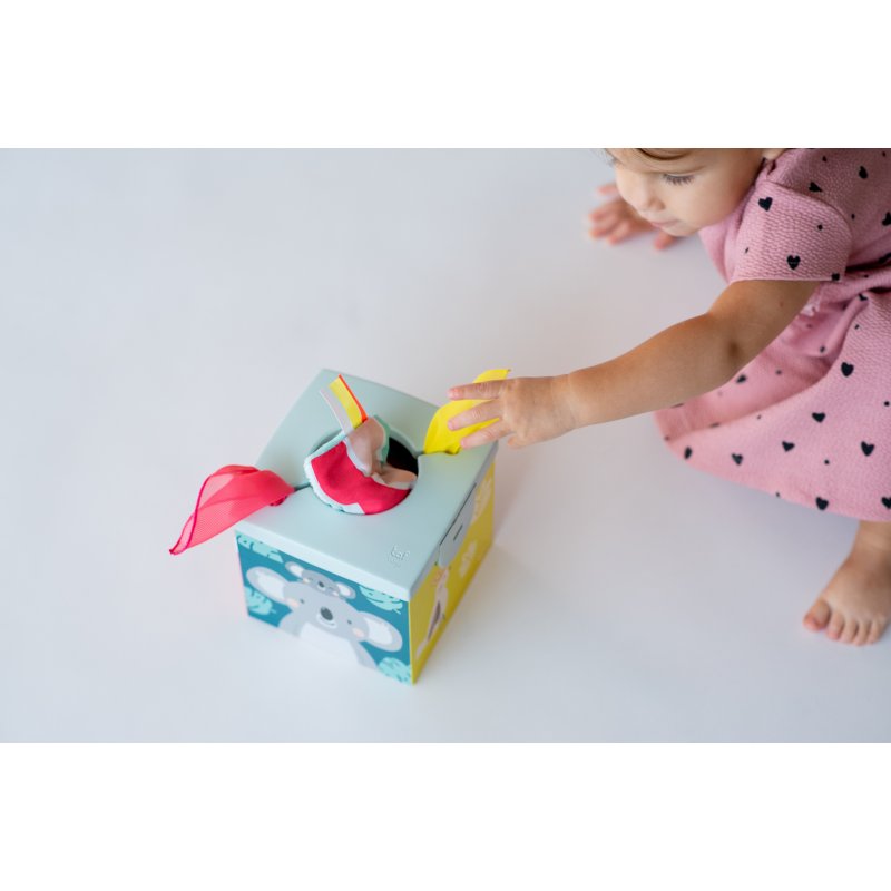 Taf Toys Εκπαιδευτικό Παιχνίδι Wonder Tissue Box Kimmy Koala