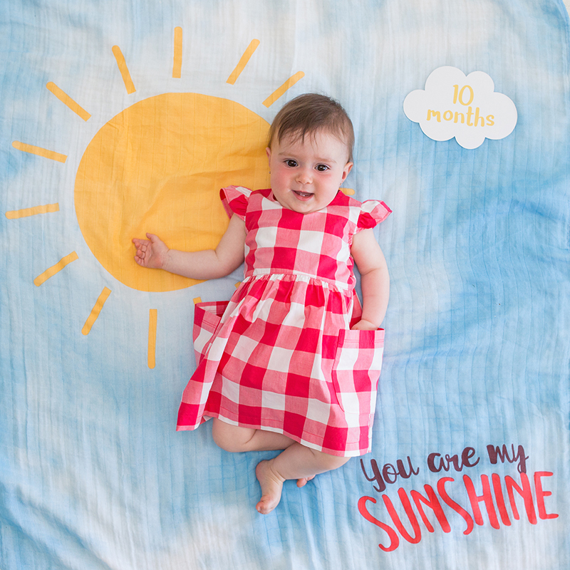 Lulujo Mουσελίνα Φωτογράφισης   Κάρτες-You Are My Sunshine