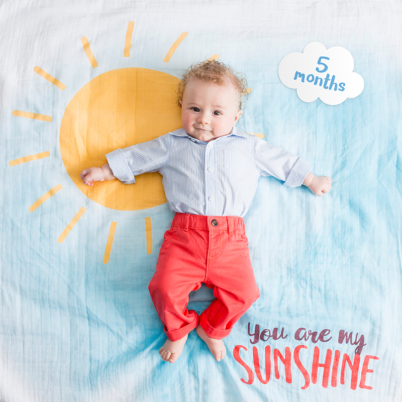 Lulujo Mουσελίνα Φωτογράφισης   Κάρτες-You Are My Sunshine