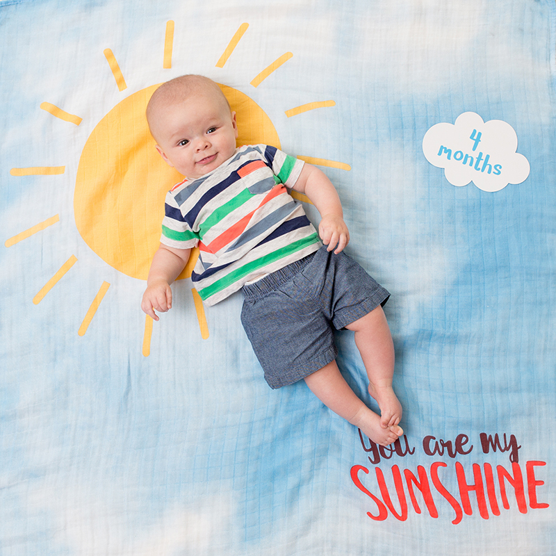 Lulujo Mουσελίνα Φωτογράφισης   Κάρτες-You Are My Sunshine
