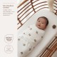 Meyco Swaddle Bear Multicolor 0-3 μηνών