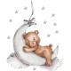 Sipo Wall Sticker Teddy Bear On The Moon