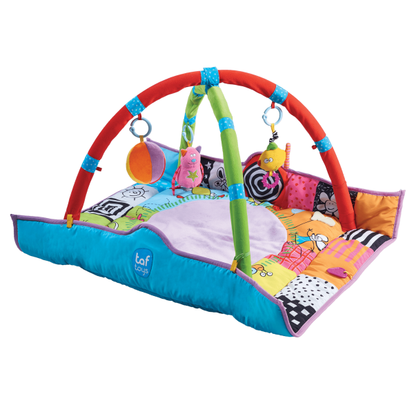 Taf Toys γυμναστήριο Newborn